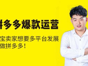 猫课拼多多-拼多多爆款运营-聪明卖家都在做-打包更新2023