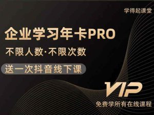 学得起课堂-企业学习年卡会员-淘系抖音会员课程同步更新价值5980元