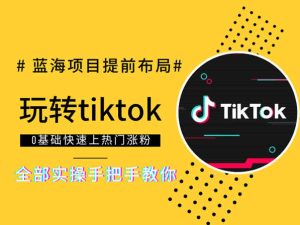 全部实操手把手教你玩转tiktok-0基础快速上热门