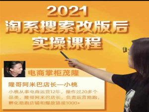 电商掌柜杨茂隆2021淘系改版后实操课程-价值599元