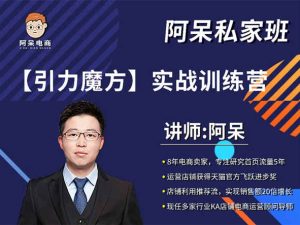 阿呆私家班-引力魔方实战训练营-价值1980元