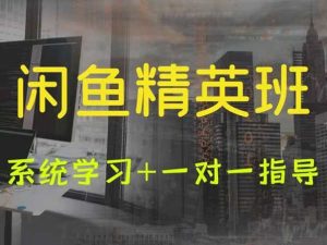 卓让教育-闲鱼店群系统课-0基础快速入门-打包更新价值7800元