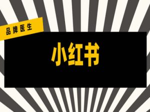 2022年品牌如何稳妥有体系的进行小红书投放？品牌医生
