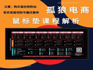 孤狼电商鼠标垫课程-孤狼无货源店群教程2022.1.3