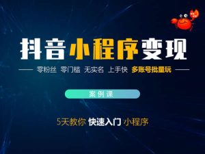 抖音小程序变现-入门课-蟹老板-蟹友会抖音短视频教程