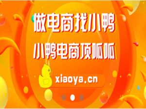 小黄鸭电商-小鸭淘系无货源全新模式实操落地-小鸭店群2022