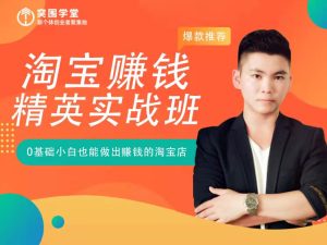淘宝虚拟电商项目私教班-蓝海项目实战班-无货源店群-突围学堂教程打包下载