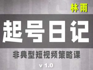 林雨抖音起号日记1.0-非典型短视频策略课-林雨艺术家2022