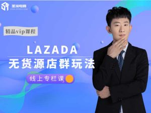 LAZADA本土无货源店群-lazada（跨境电商）-圣淘电商2022价值4999元