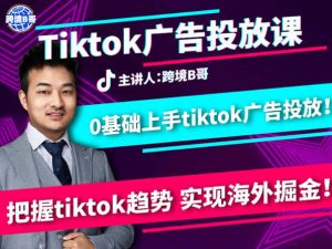 tiktok广告投放课-跨境电商价值1680元