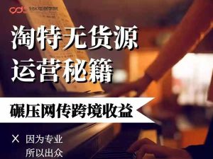 98K-淘特无货源系列课-98K电商学院电商培训打包