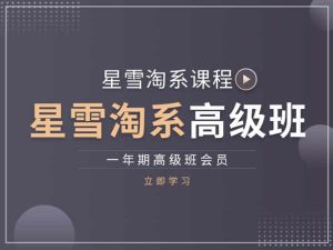 非石电商-星雪科技-星雪教育淘宝开店培训2022打包更新