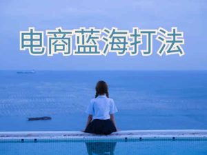 无招电商学院-立导-电商蓝海打法（小白搞钱私密课）6688元