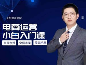 立导的淘宝小白课（未更完）-无招电商学院价值899元