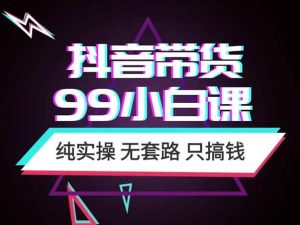 立导-抖音带货99小白实操课（全）-无招电商学院立导
