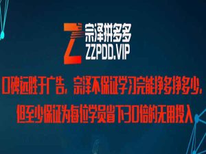 宗泽老师-拼多多开店电商培训教程同步更新2022