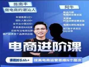 淘系运营进阶课-解锁极致化运营-陈南丰和他的朋友们-做电商的潮汕人