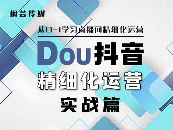 枫芸传媒-线上抖音精细化运营实战篇-从0-1学习直播间2022