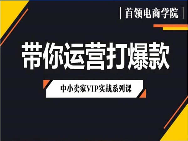 首领电商学院-首领拼多多带你运营打爆款2022同步更新