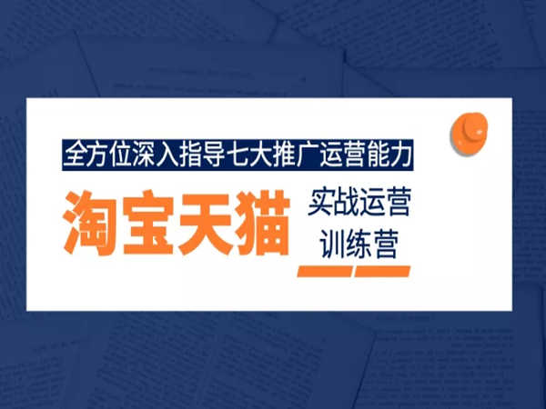 百宝电商学院-淘宝入门课+运营训练营-电商培训2022打包下载