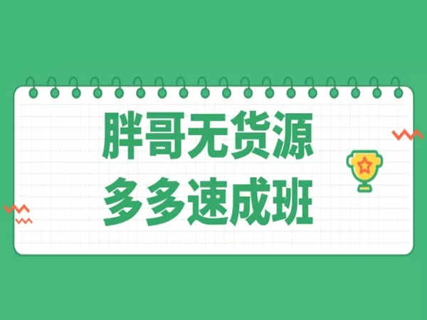 胖哥无货源拼多多速成班-拼多多无货源2022价值2980元