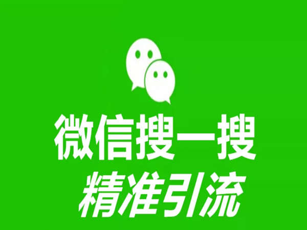 飞哥传书项目圈-微信搜一搜暴力引流-价值3980元
