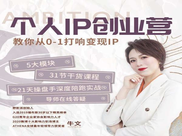 野新派-个人IP创业营-教你从0-1打响变现IP价值3980元