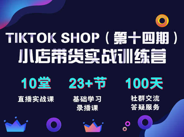 短视频疯人院李社长-TikTok Shop 全球店带货训练营（第14期）2022