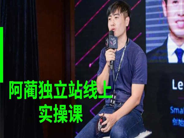 阿蔺独立站全案课-阿蔺跨境电商培训2022打包下载