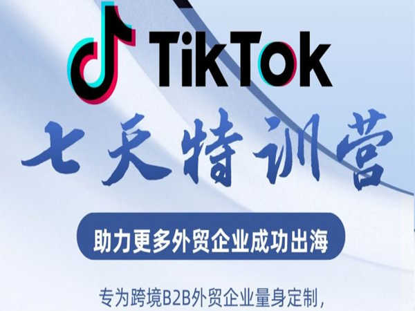TikTok七天线上陪跑训练营第三期-大山老师-跨境电商培训2022