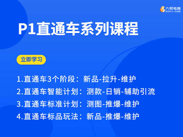六邦电商-P1直通车系列课程打包下载2023