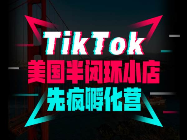 短视频疯人院-TikTok美国半闭环小店先疯孵化营-2023.3打包下载