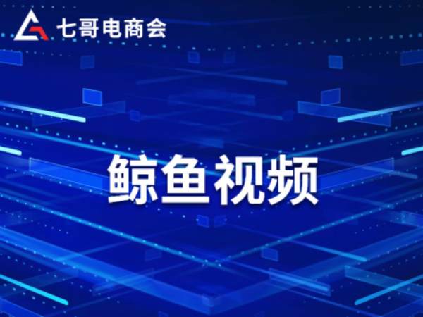 七哥电商会_鲸鱼视频-京东开店培训教程2023.5打包下载