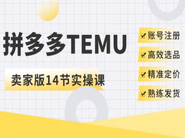 空心-TEMU平台卖家实操课-temu跨境电商培训2023