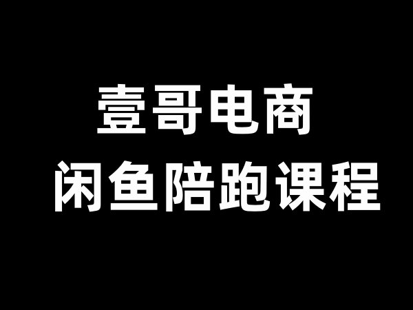 壹哥电商-闲鱼陪跑课程闲鱼无货源电商教程打包下载