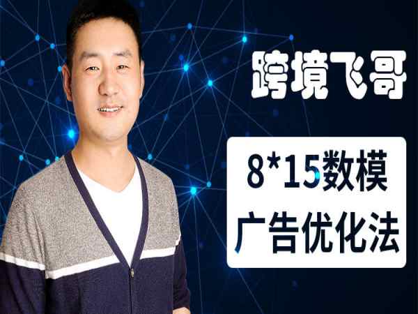 跨境飞哥-广告优化高阶课第二十三期-跨境电商培训亚马逊