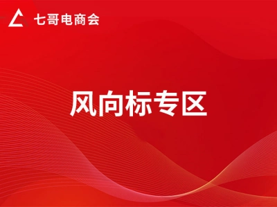 七哥电商会:风向标专区